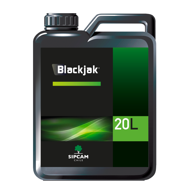 BLACKJAK- Sipcam Chile 